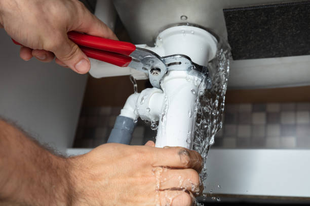 Best Residential water damage restoration  in Edmore, MI