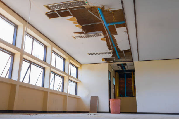 Best Flood restoration services  in Edmore, MI