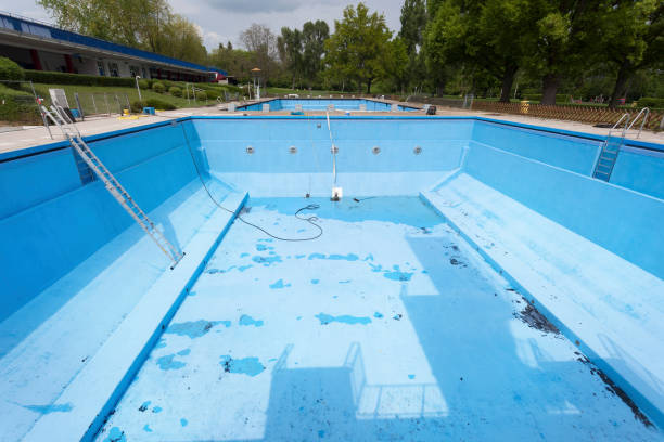 Best Sewage cleanup and water damage restoration  in Edmore, MI