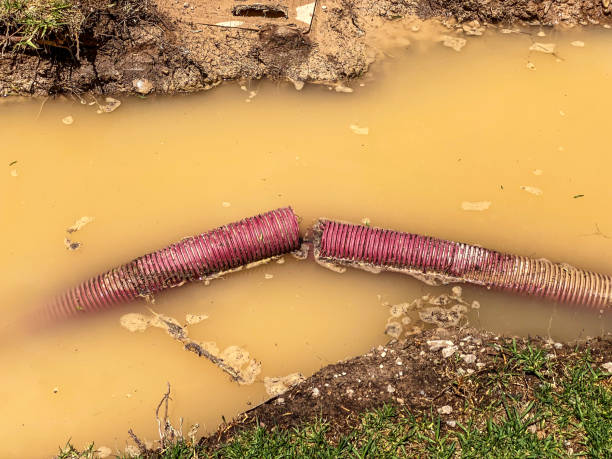 Carpet water damage restoration in Edmore, MI