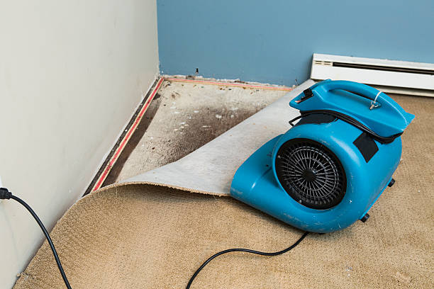 Edmore, MI Water damage restoration Company